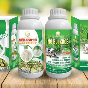 no-bui-khoe