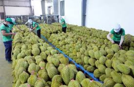 xuat-khau-nong-thuy-san-doi-mat-nhieu-thach-thuc-nam-2025